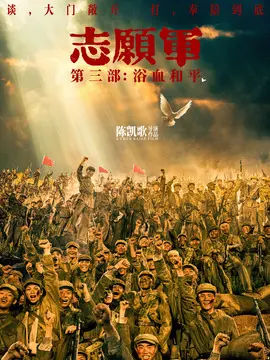 志愿军：浴血和平简介封面图